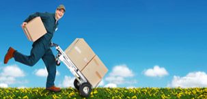 Shipping/Scheduling
